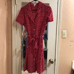 Polka Dot shirt dress